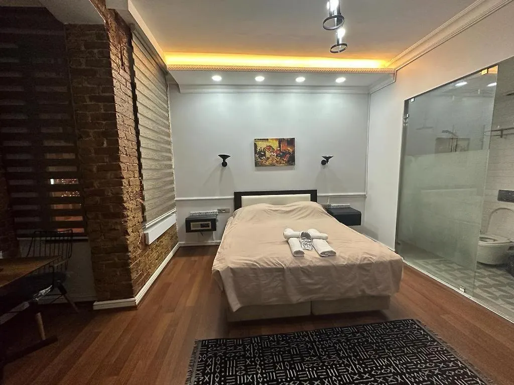 公寓式酒店 Konak Suite In The Bar Street 伊斯坦布尔